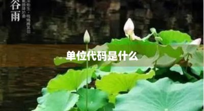 ​单位代码是什么