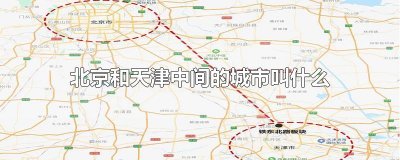 ​北京和天津中间的城市叫什么