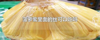 ​菠萝蜜里面的丝可以吃吗