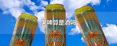 ​果啤算是酒吗