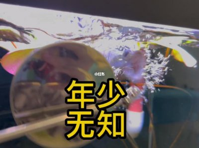 ​年少无知是什么意思（年少无知的含义）