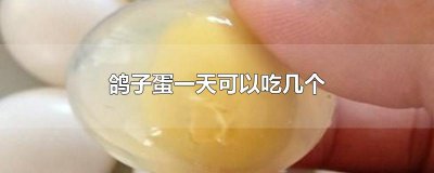 ​鸽子蛋一天可以吃几个
