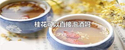 ​桂花可以直接泡酒吗