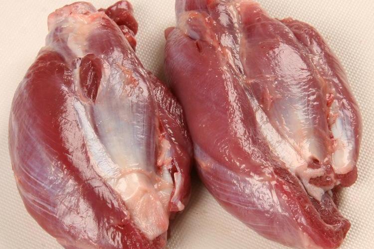 腱子肉是什么意思（腱子肉简单介绍）