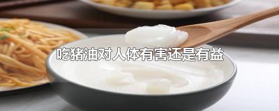 吃猪油对人体有害还是有益