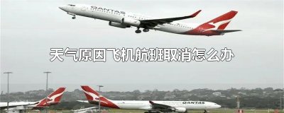 ​天气原因飞机航班取消怎么办