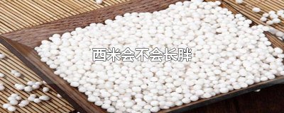 ​西米会不会长胖