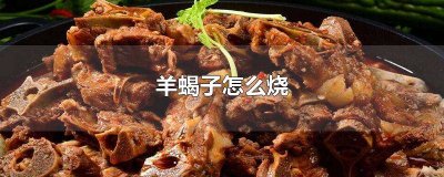 ​羊蝎子怎么烧? 烧羊蝎子怎么烧法