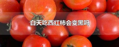 ​白天吃西红柿会变黑吗