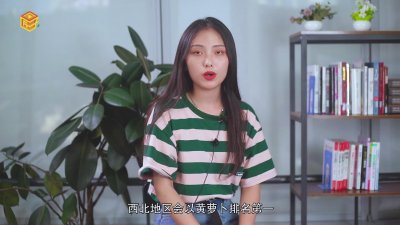 ​牛肉饺子馅配什么蔬菜