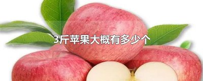 ​3斤苹果大概有多少个