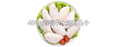 ​400g鸡翅中大约有几个