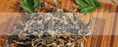 ​艾叶洗头需要冲洗吗 艾叶洗头怎么洗法