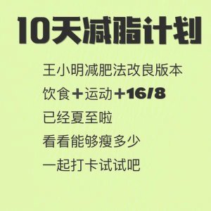 ​一份详尽的减肥计划（2025年的10个最佳减肥计划）