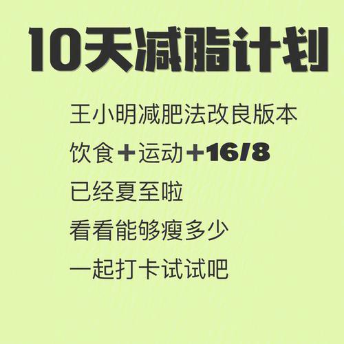 一份详尽的减肥计划(2025年的10个最佳减肥计划)