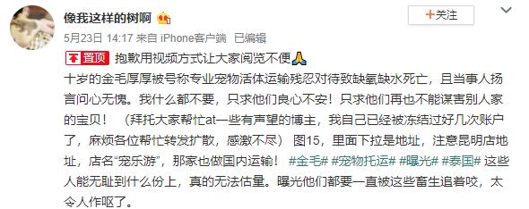 宠物狗死亡事件(狗狗托运途中惨死)(16)