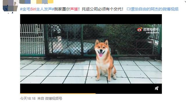 宠物狗死亡事件(狗狗托运途中惨死)(24)