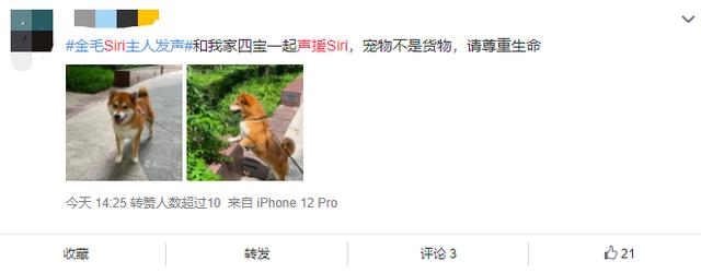 宠物狗死亡事件(狗狗托运途中惨死)(23)