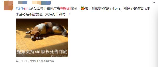 宠物狗死亡事件(狗狗托运途中惨死)(22)