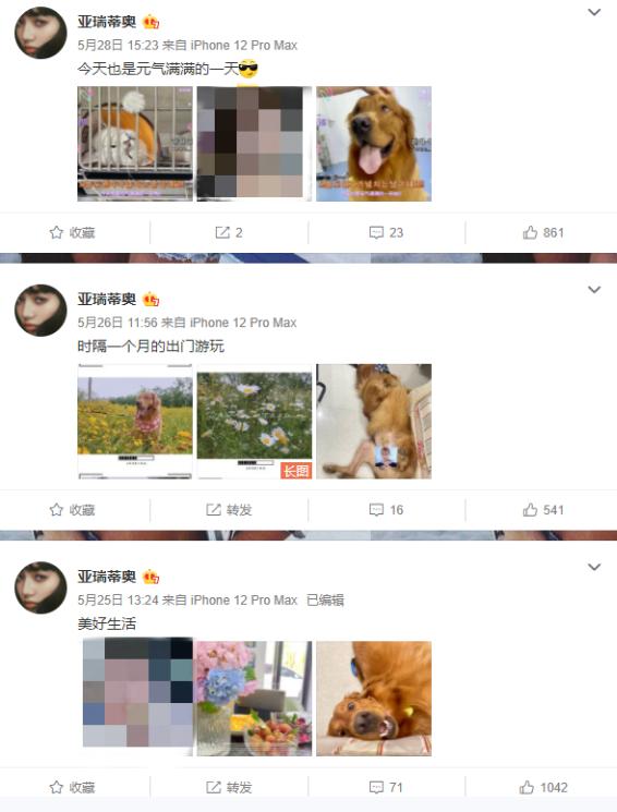 宠物狗死亡事件(狗狗托运途中惨死)(2)