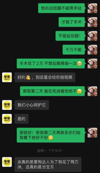 宠物狗死亡事件(狗狗托运途中惨死)(5)