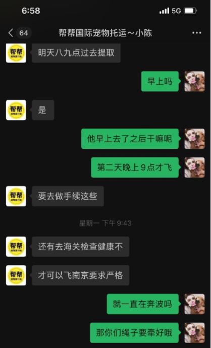 宠物狗死亡事件(狗狗托运途中惨死)(4)