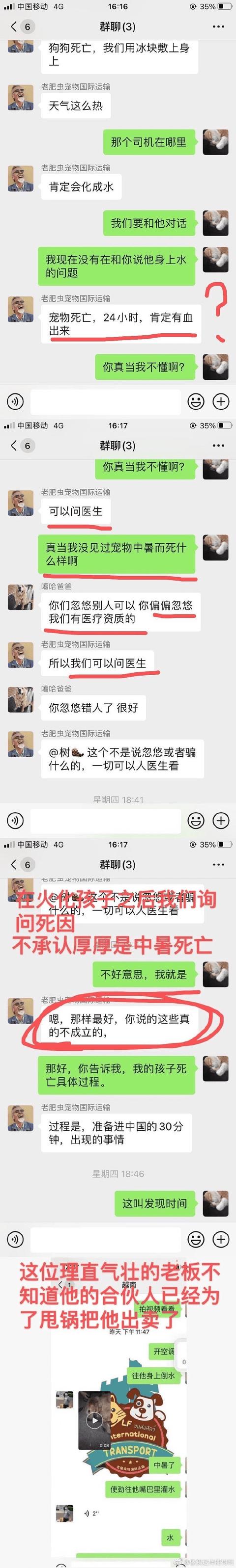宠物狗死亡事件(狗狗托运途中惨死)(17)