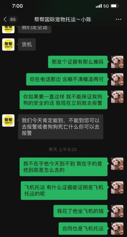 宠物狗死亡事件(狗狗托运途中惨死)(7)