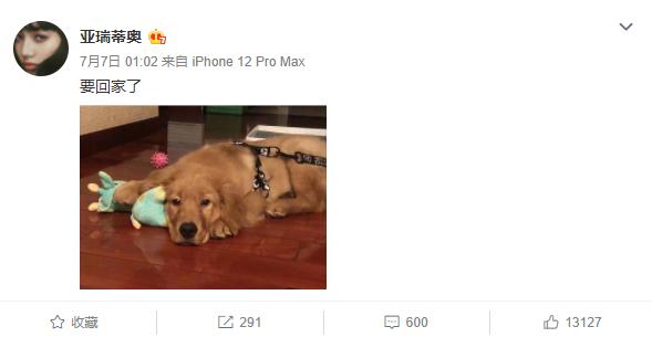 宠物狗死亡事件(狗狗托运途中惨死)(6)