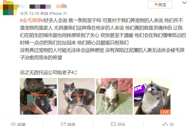 宠物狗死亡事件(狗狗托运途中惨死)(25)