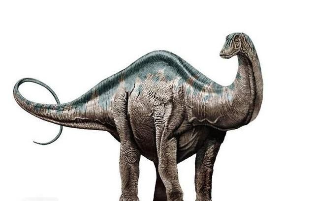 马门溪龙和腕龙的区别,马门溪龙和腕龙谁的脖子长?图7