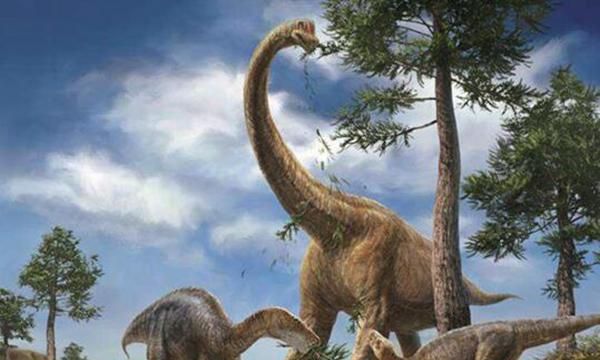 马门溪龙和腕龙的区别,马门溪龙和腕龙谁的脖子长?图3