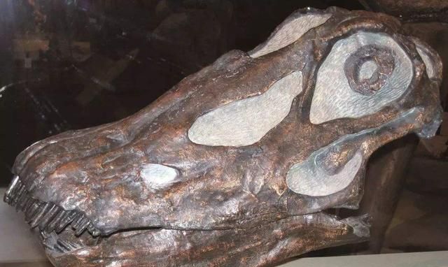 马门溪龙和腕龙的区别,马门溪龙和腕龙谁的脖子长?图6