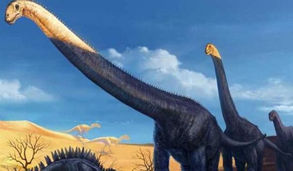 马门溪龙和腕龙的区别,马门溪龙和腕龙谁的脖子长?图2