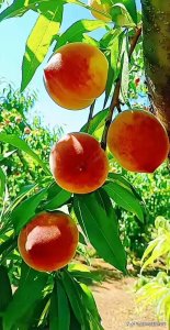 ​精美桌面壁纸蓝天白云天空美景（壁纸美图蓝天白云）