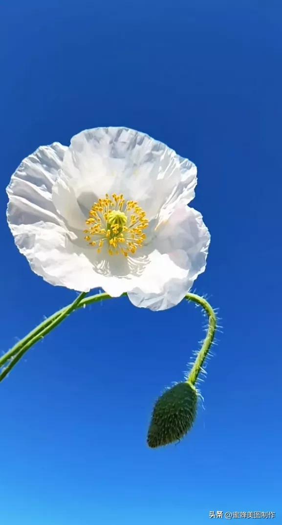 精美桌面壁纸蓝天白云天空美景(壁纸美图蓝天白云)(15)