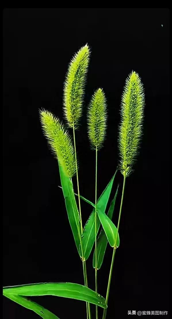 精美桌面壁纸蓝天白云天空美景(壁纸美图蓝天白云)(22)