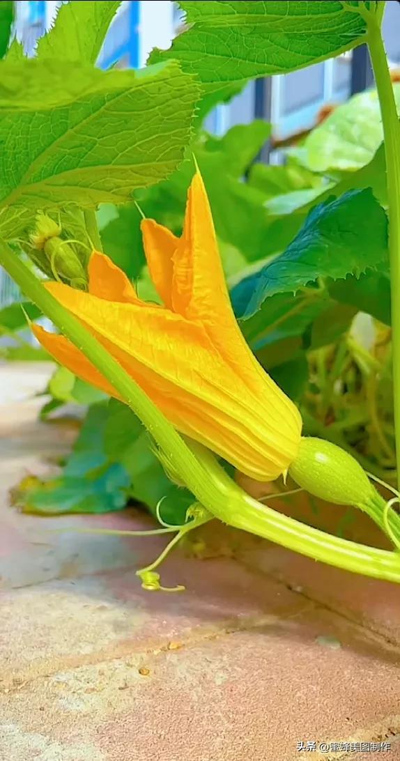 精美桌面壁纸蓝天白云天空美景(壁纸美图蓝天白云)(36)