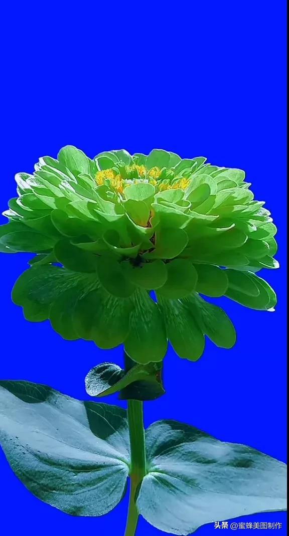 精美桌面壁纸蓝天白云天空美景(壁纸美图蓝天白云)(3)