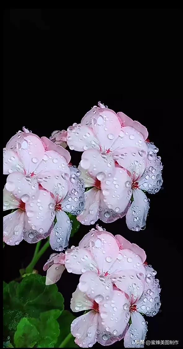 精美桌面壁纸蓝天白云天空美景(壁纸美图蓝天白云)(21)