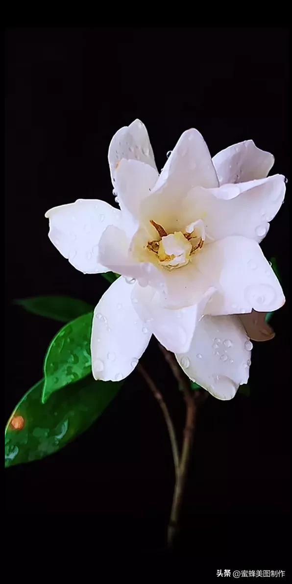 精美桌面壁纸蓝天白云天空美景(壁纸美图蓝天白云)(24)