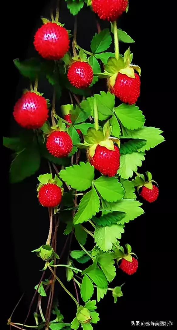 精美桌面壁纸蓝天白云天空美景(壁纸美图蓝天白云)(17)