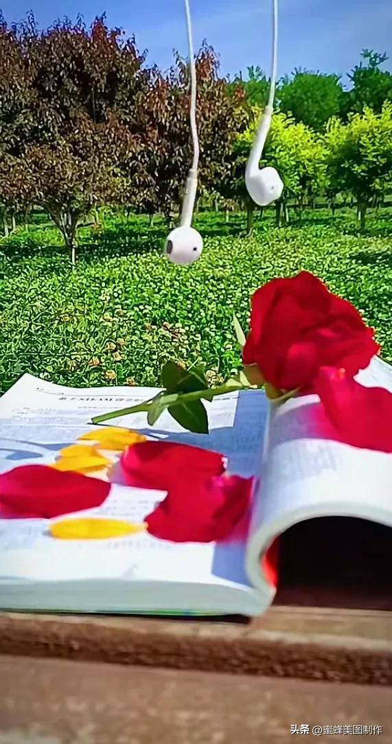 精美桌面壁纸蓝天白云天空美景(壁纸美图蓝天白云)(27)