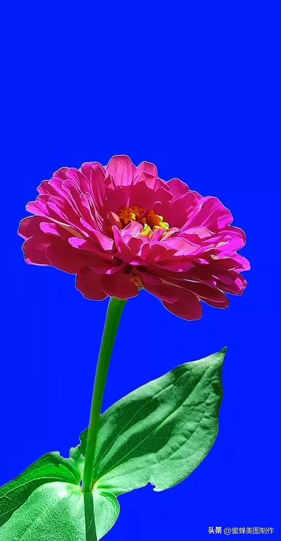 精美桌面壁纸蓝天白云天空美景(壁纸美图蓝天白云)(2)