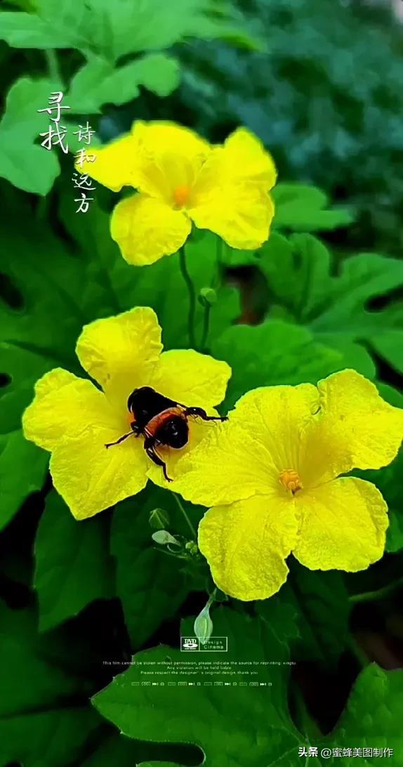 精美桌面壁纸蓝天白云天空美景(壁纸美图蓝天白云)(37)