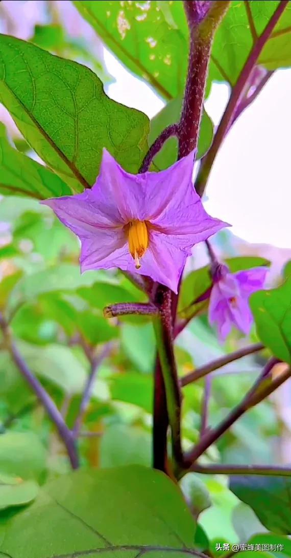 精美桌面壁纸蓝天白云天空美景(壁纸美图蓝天白云)(35)