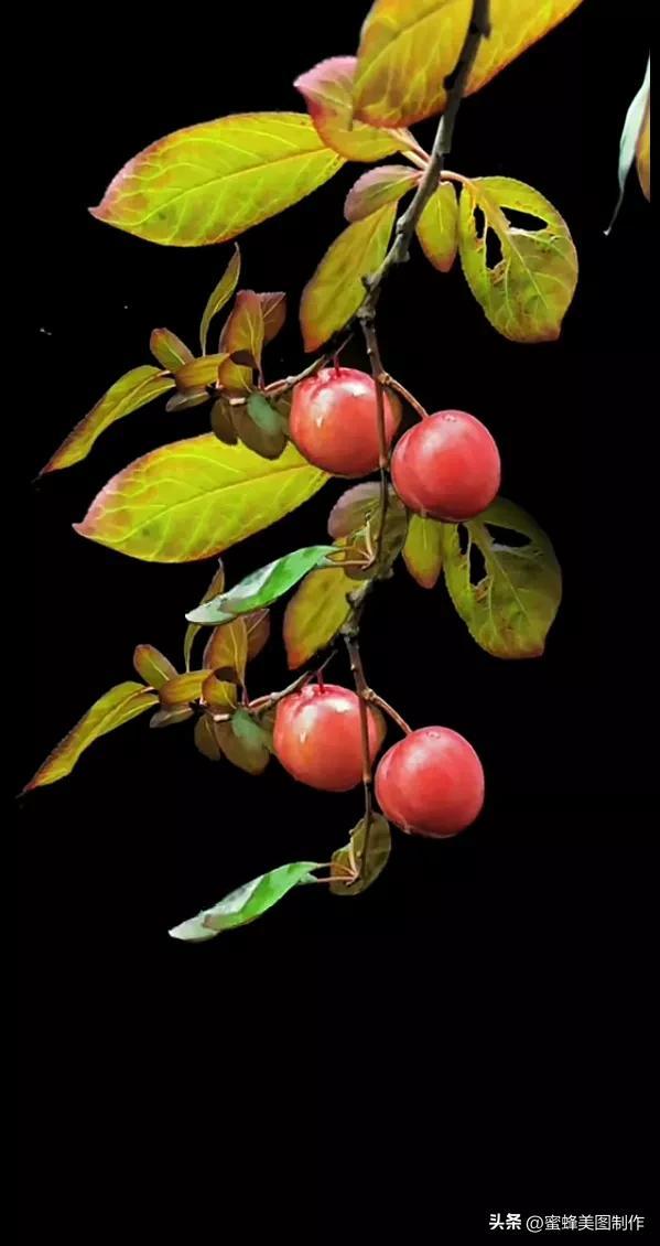 精美桌面壁纸蓝天白云天空美景(壁纸美图蓝天白云)(18)