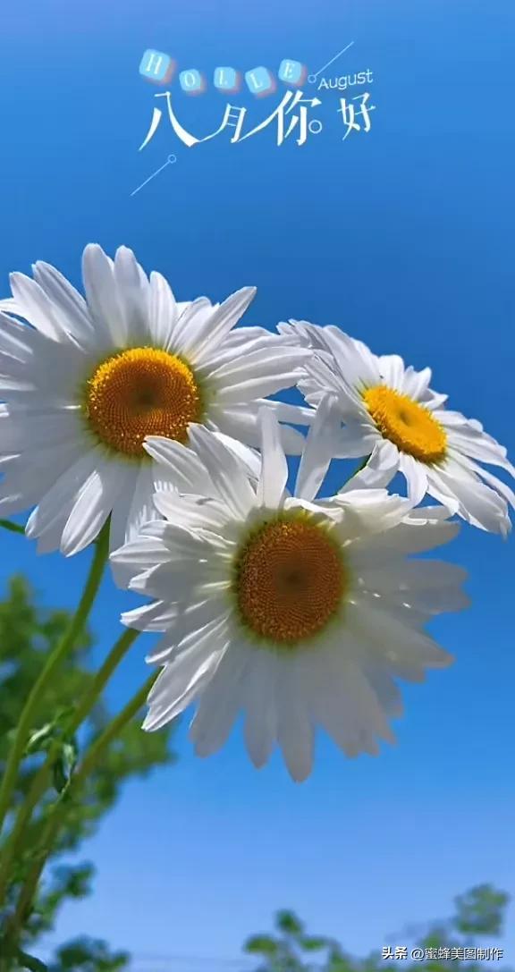 精美桌面壁纸蓝天白云天空美景(壁纸美图蓝天白云)(34)