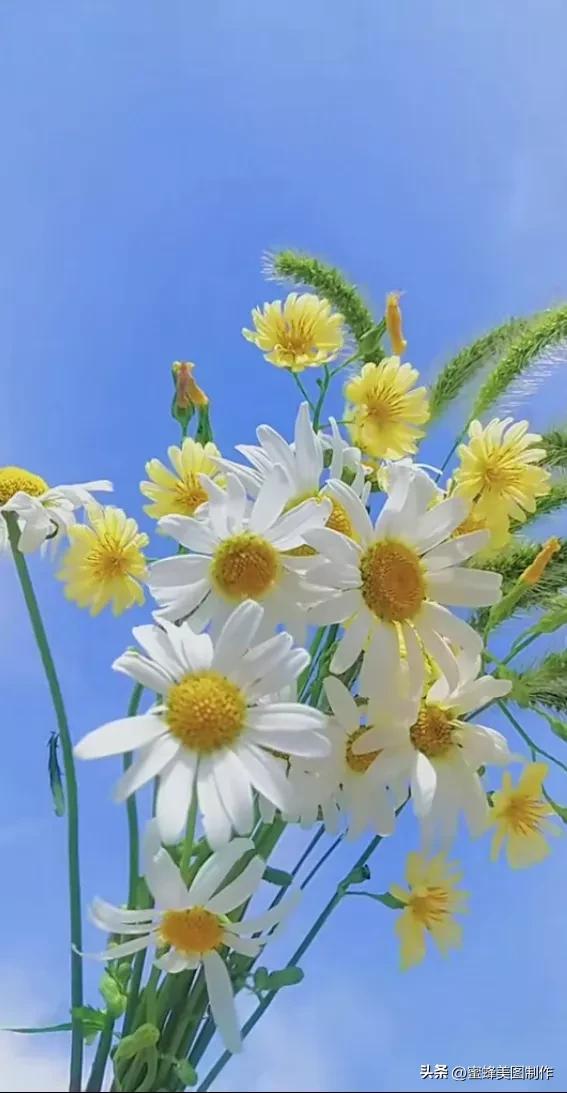 精美桌面壁纸蓝天白云天空美景(壁纸美图蓝天白云)(13)