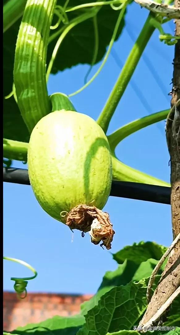 精美桌面壁纸蓝天白云天空美景(壁纸美图蓝天白云)(26)